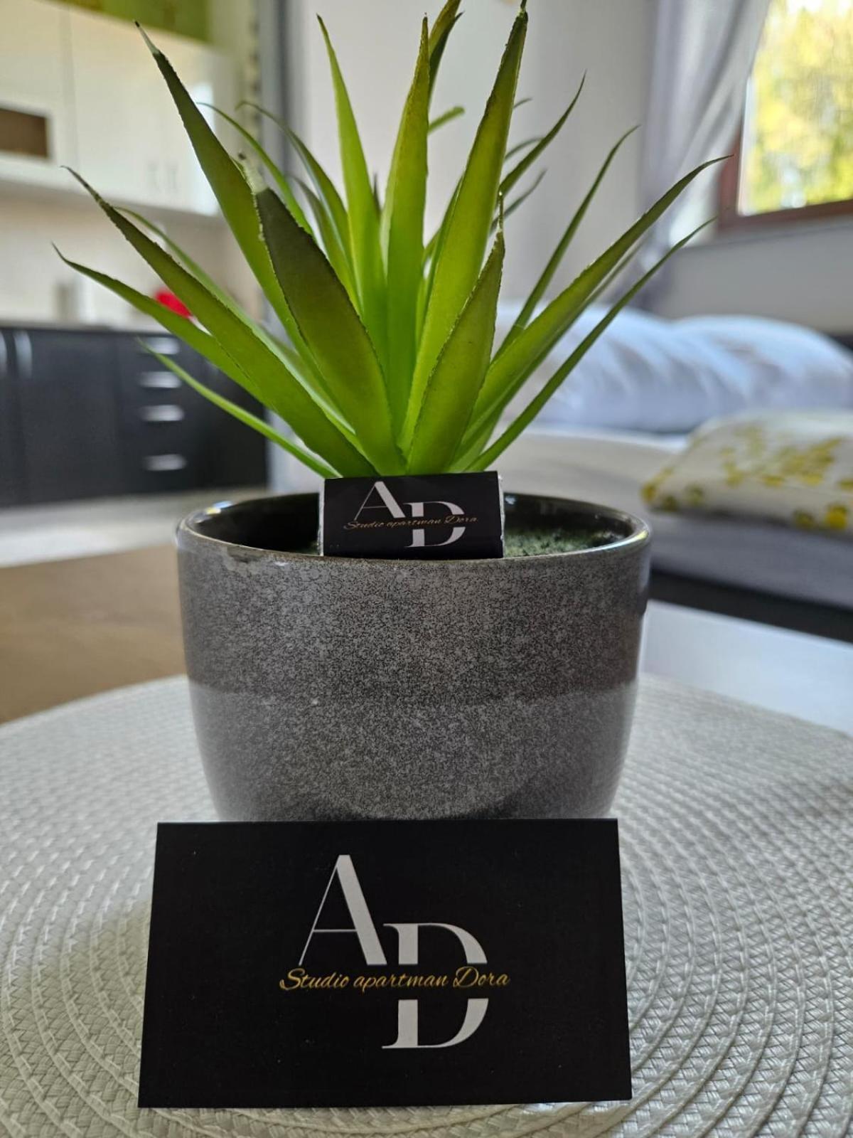 Studio Apartman Dora Ilok Exteriér fotografie
